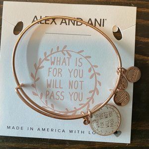 What is for you will not pass you Alex and Ani